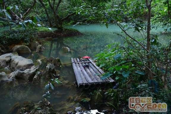 浪浪全身被洒柏油连医生都束手无策，他们不放弃决定自己动手洗
